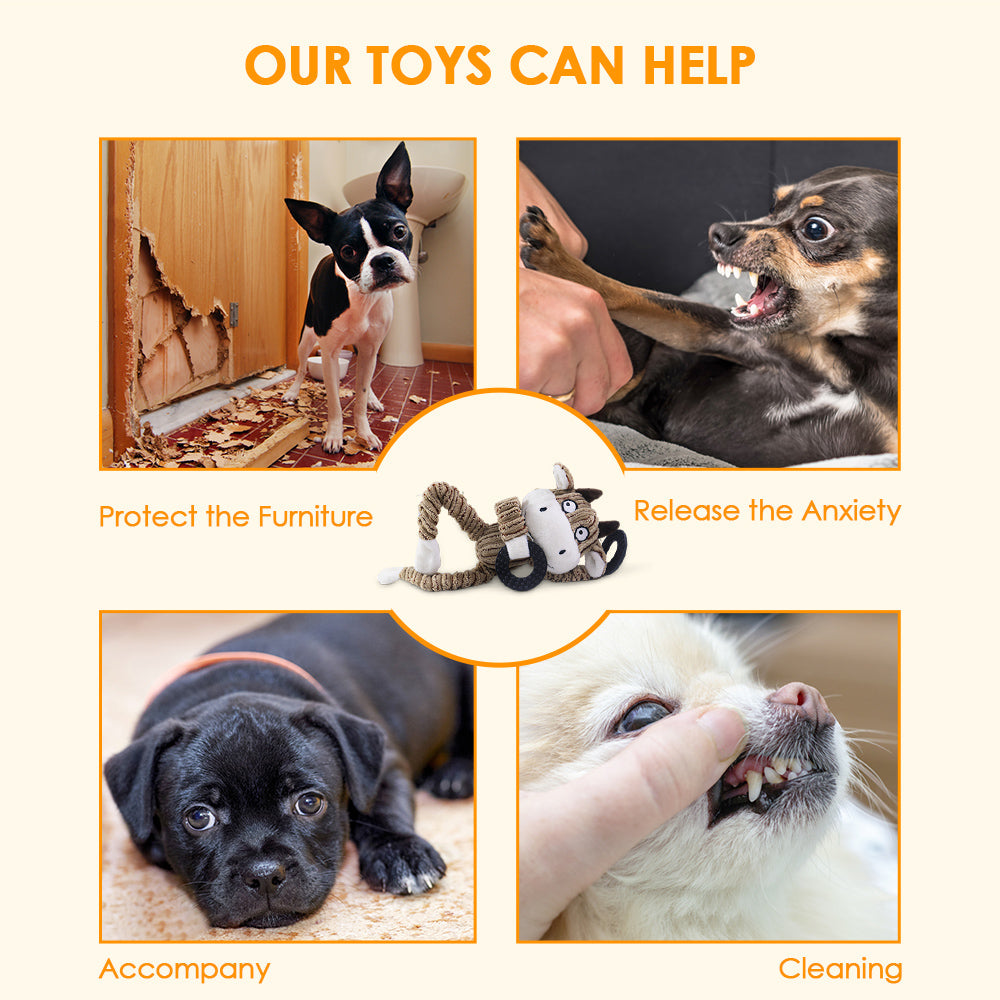 Squeaky Interactive Dog Toys – Keeping Your Pet Happy and Engaged