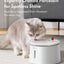 Pet Water Fountain with UVC Sterilization Wireless Pump CF20