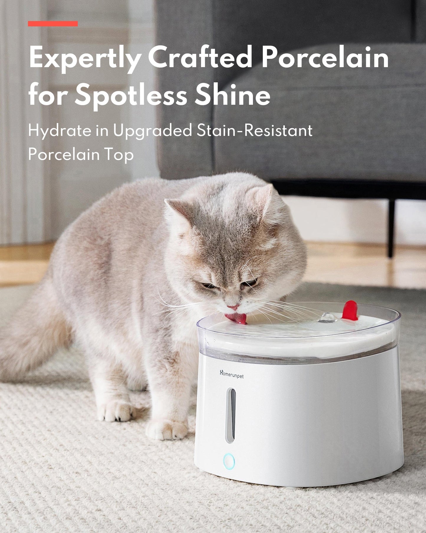 Pet Water Fountain with UVC Sterilization Wireless Pump CF20
