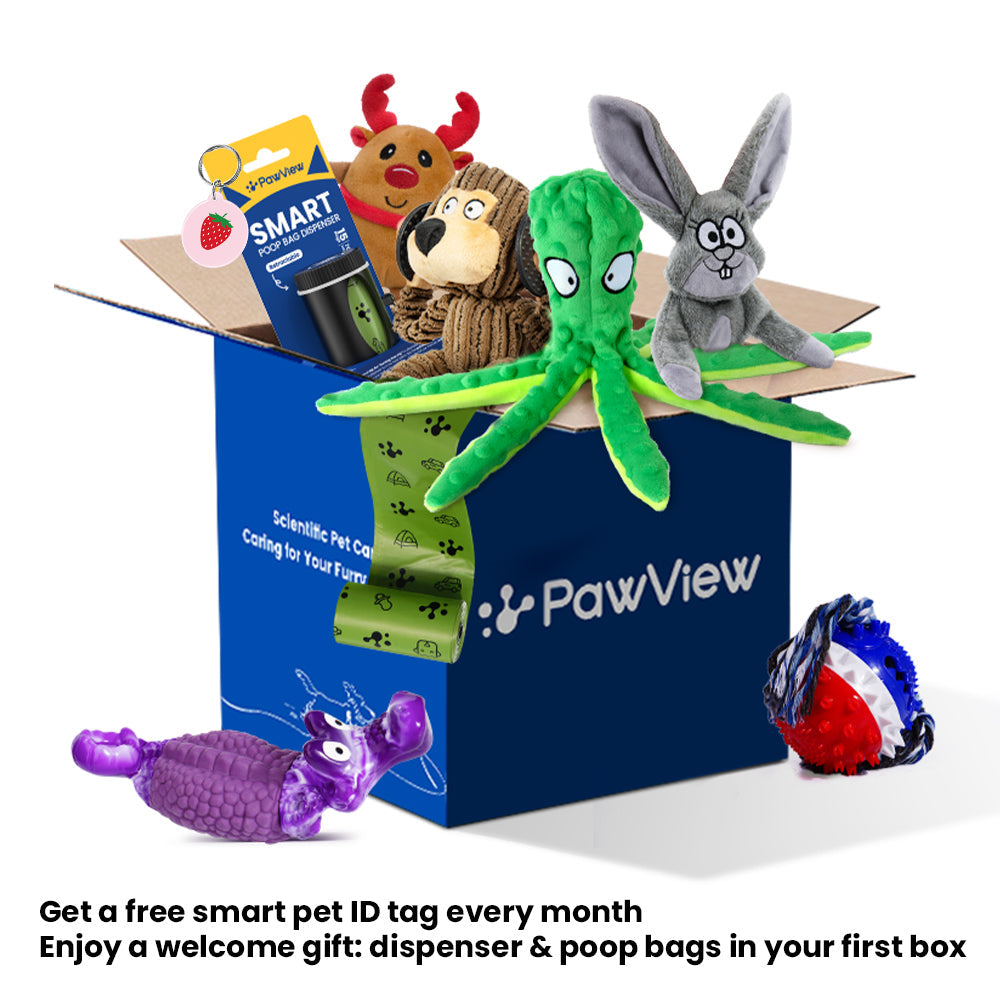 PawView Monthly Toy Box – Tailored Toys + Gifts Inside, The Monthly Dog Toy