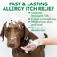 Allergy Itch Relief Dog Shampoo