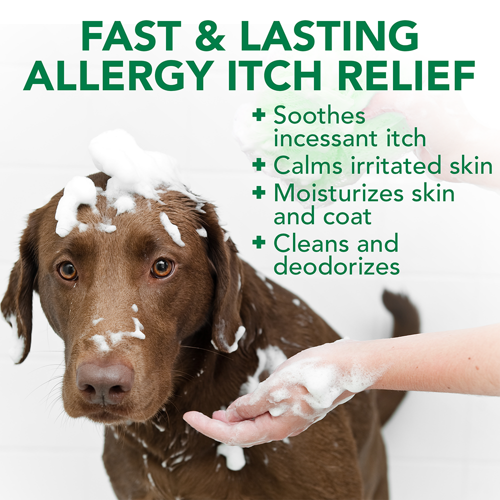 Allergy Itch Relief Dog Shampoo