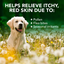 Allergy Itch Relief Dog Shampoo