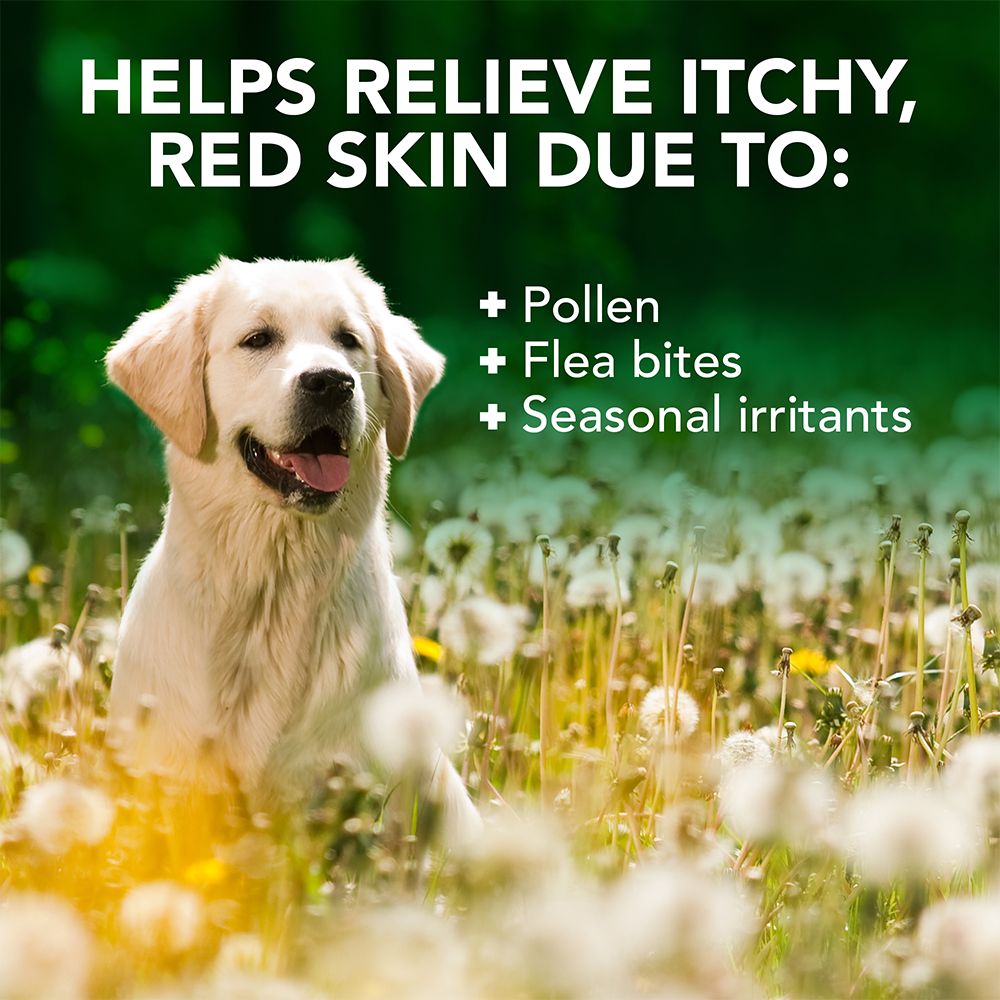 Allergy Itch Relief Dog Shampoo