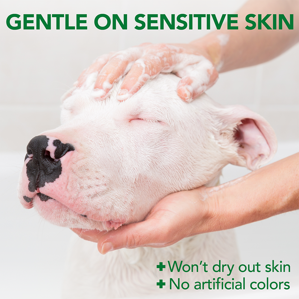 Allergy Itch Relief Dog Shampoo
