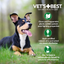 Anti-Flea Spray Shampoo