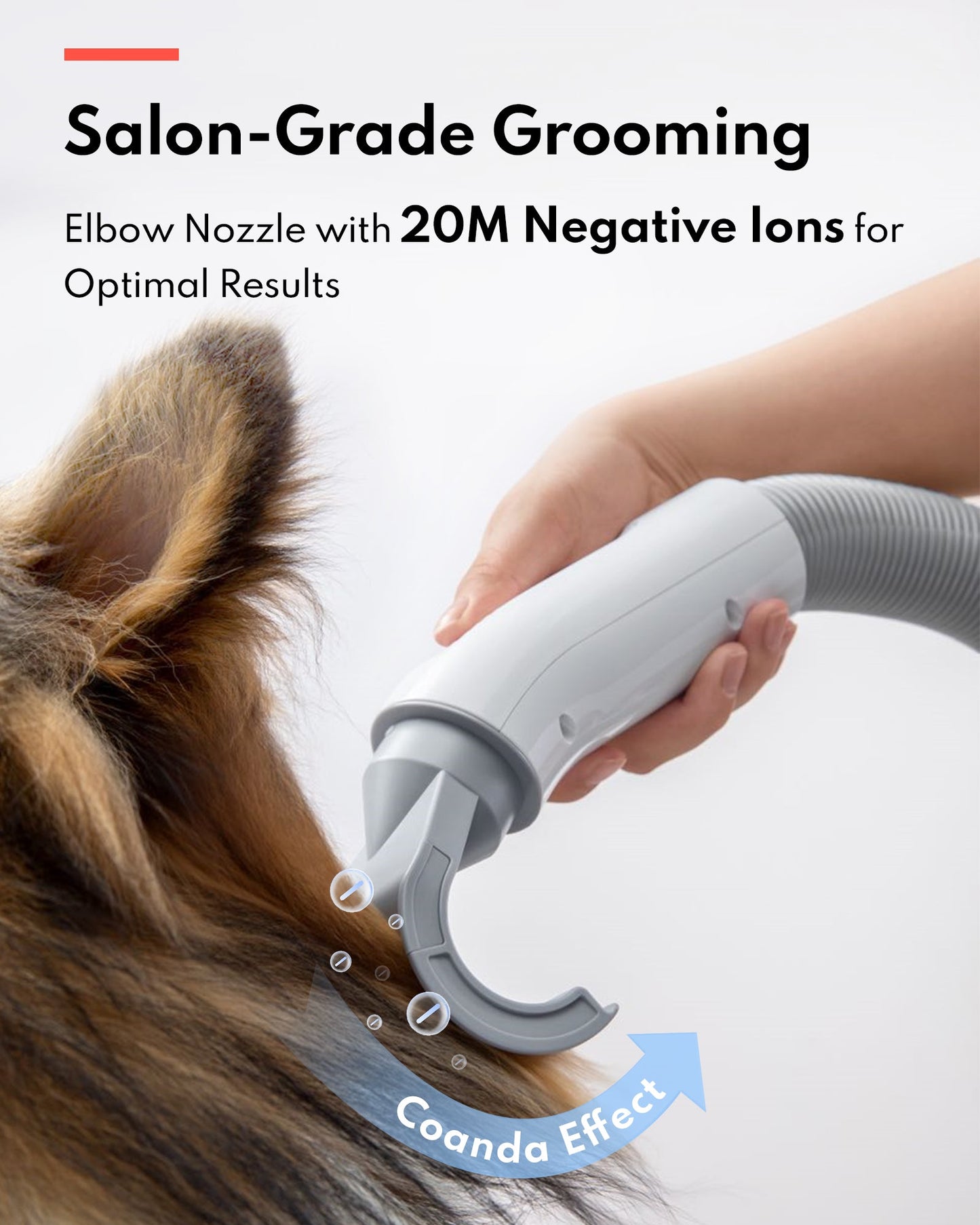 HomerunPET Pet Hair Force Dryer PD10