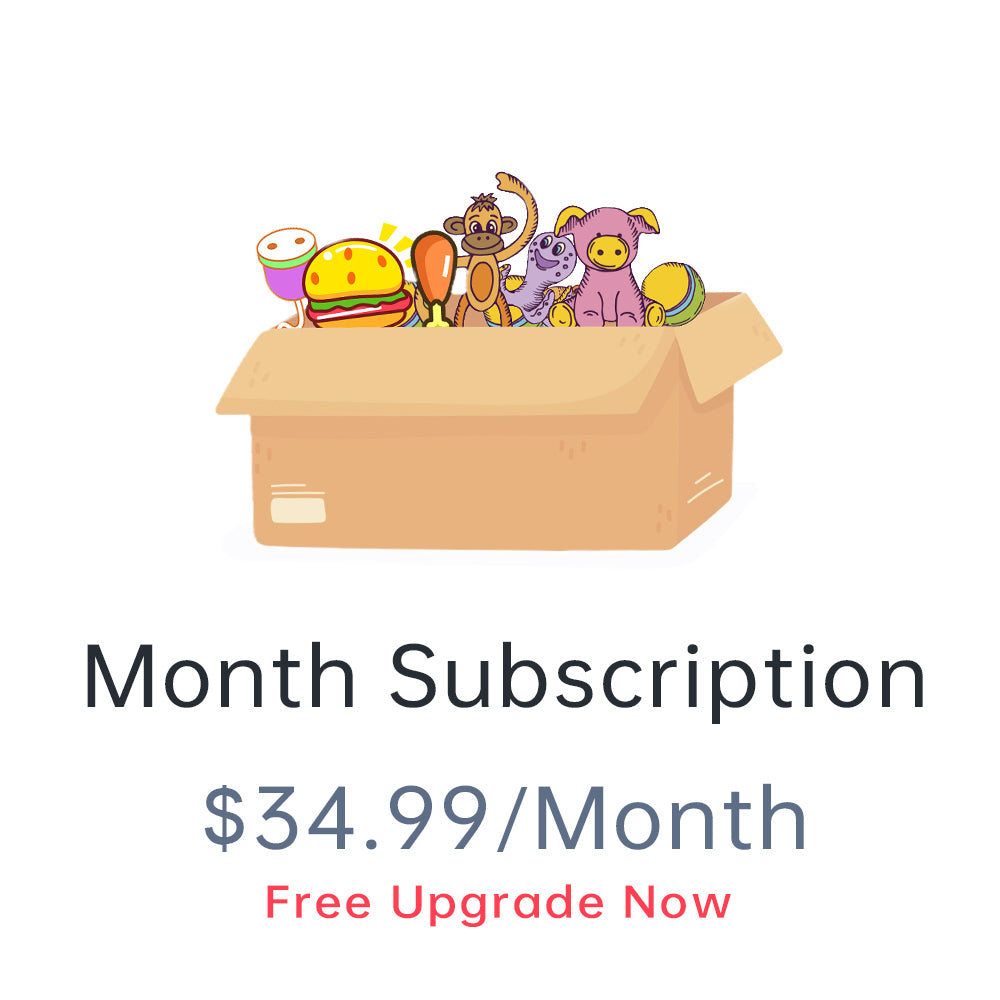 PawView Subscription Box: Tailored Treats and Toys for Your Furry Friend's Delight