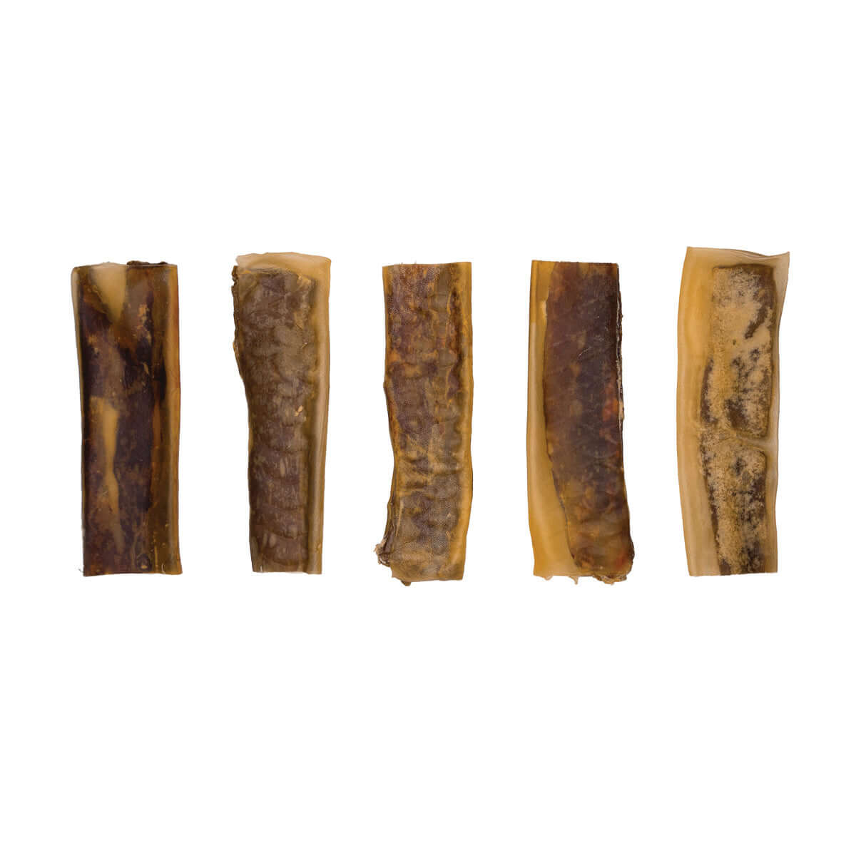 New! Collagen Wrapped Esophagus Slice
