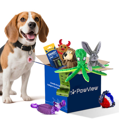 PawView Monthly Toy Box – Tailored Toys + Gifts Inside, The Monthly Dog Toy