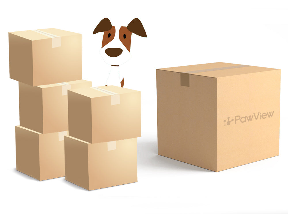 PawView Subscription Box: Tailored Treats and Toys for Your Furry Friend's Delight