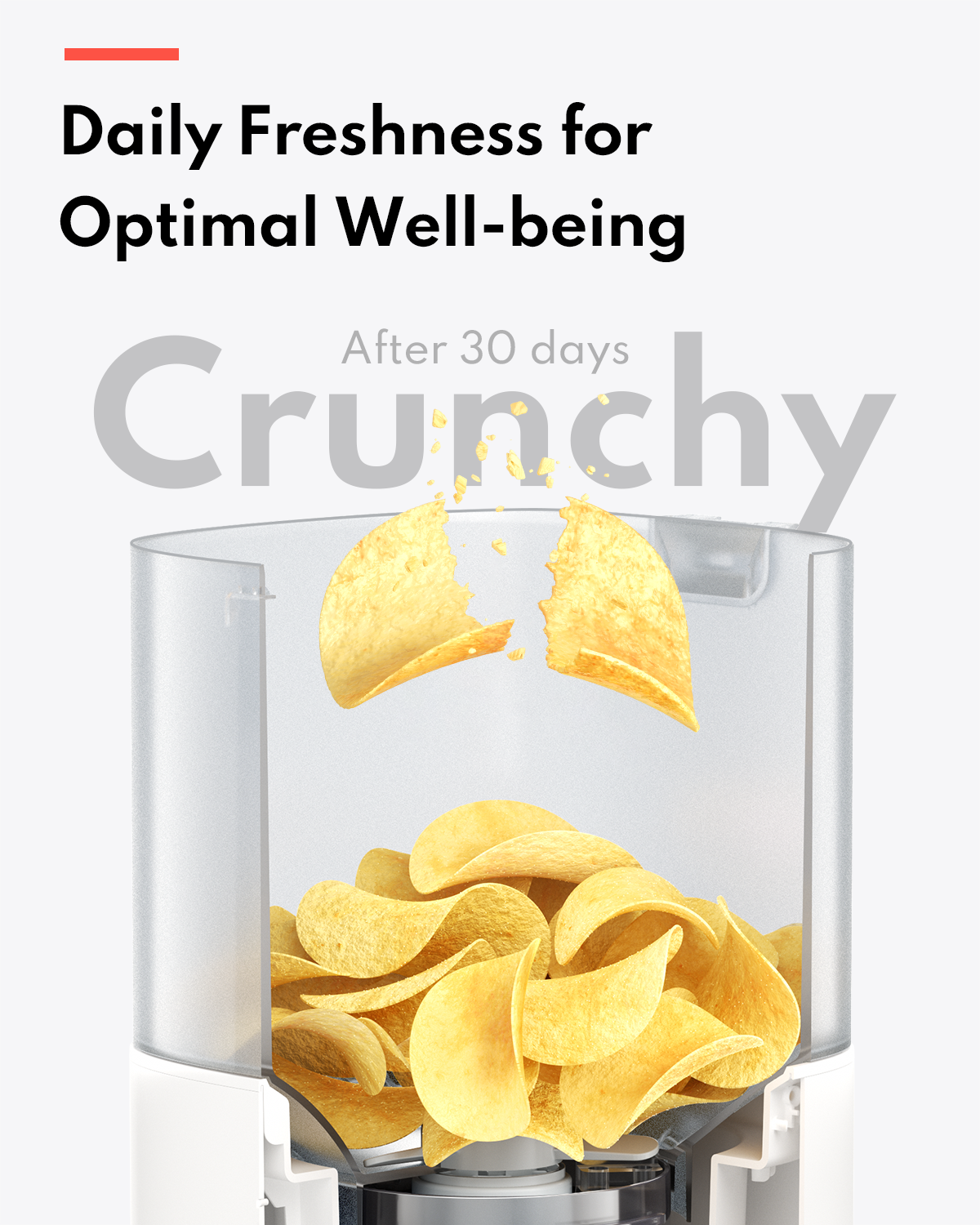 HomerunPET Smart Pet Feeders