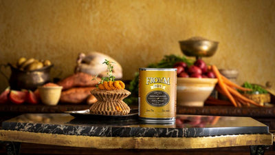 Fromm Grain-Free Chicken & Sweet Potato Pate Canned Dog Food