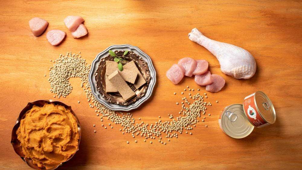 Fromm Four-Star Grain-Free Turkey & Pumpkin Pate Canned Cat Food