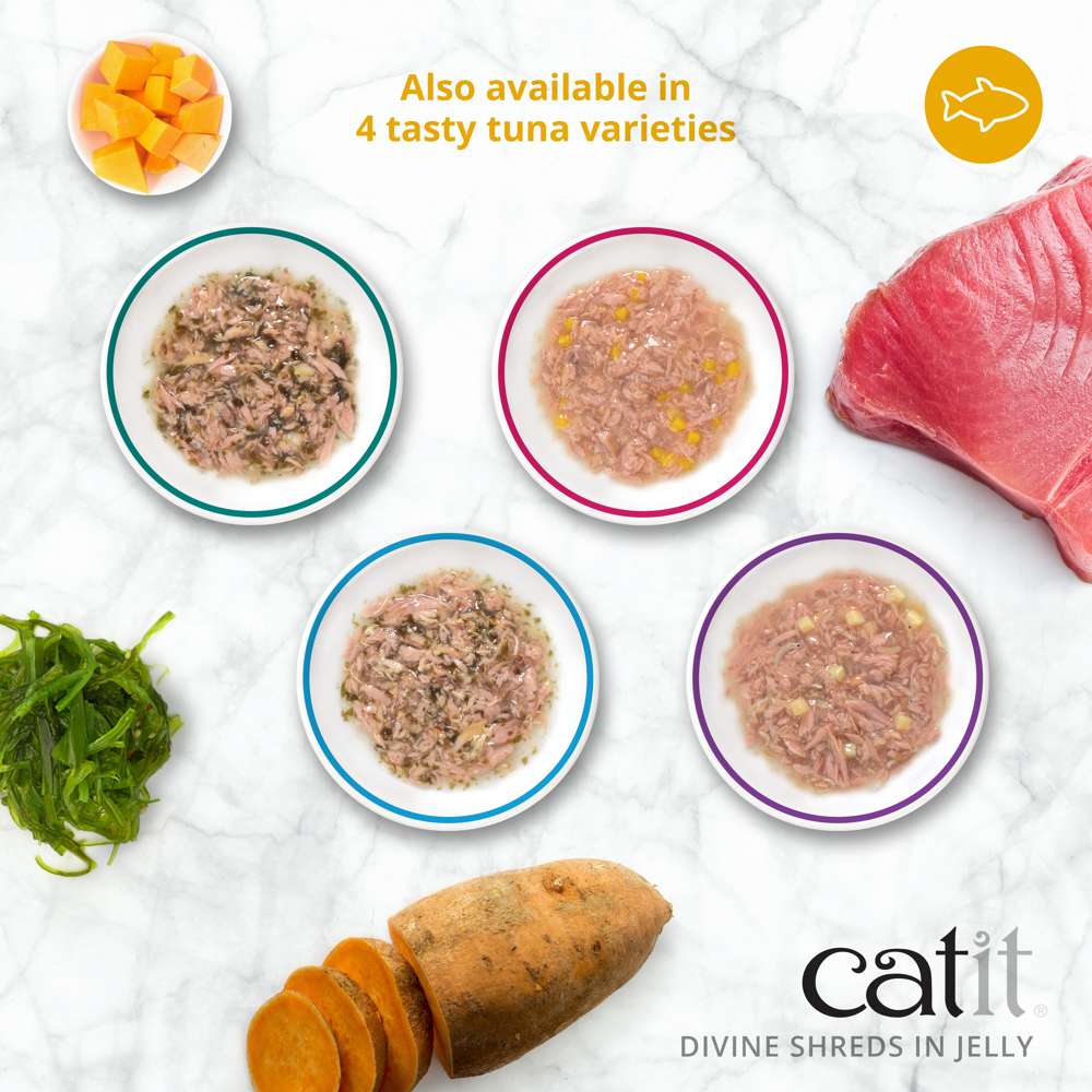 Catit Divine Shreds in Jelly Chicken 4 Pack