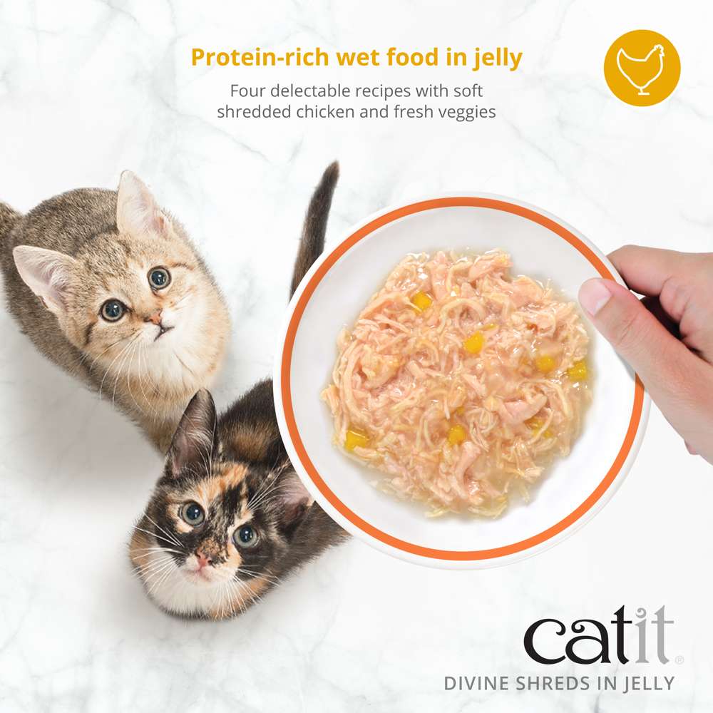 Catit Divine Shreds in Jelly Chicken 4 Pack