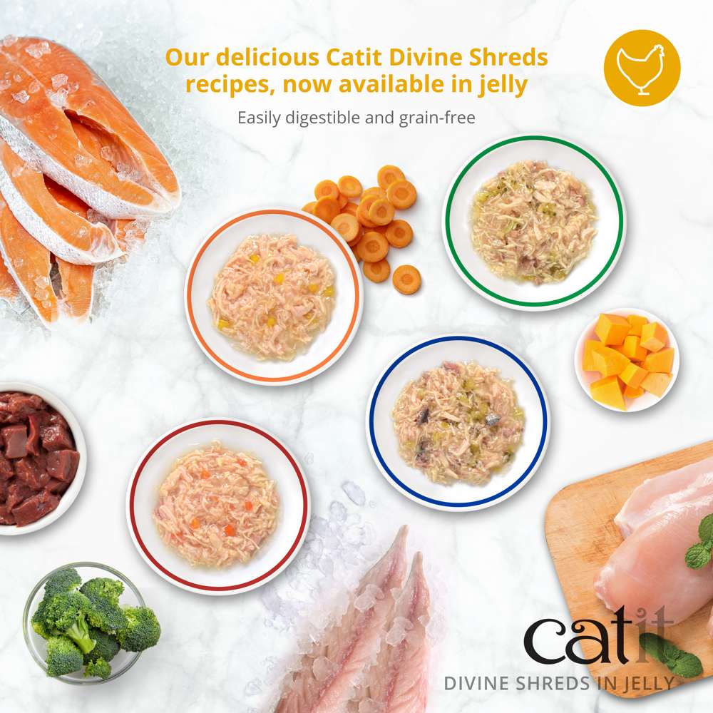 Catit Divine Shreds in Jelly Chicken 4 Pack