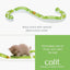 Catit Senses Circuits