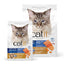 Catit Recipes DOUBLE FUSION Skin & Coat - Ocean Fish Recipe