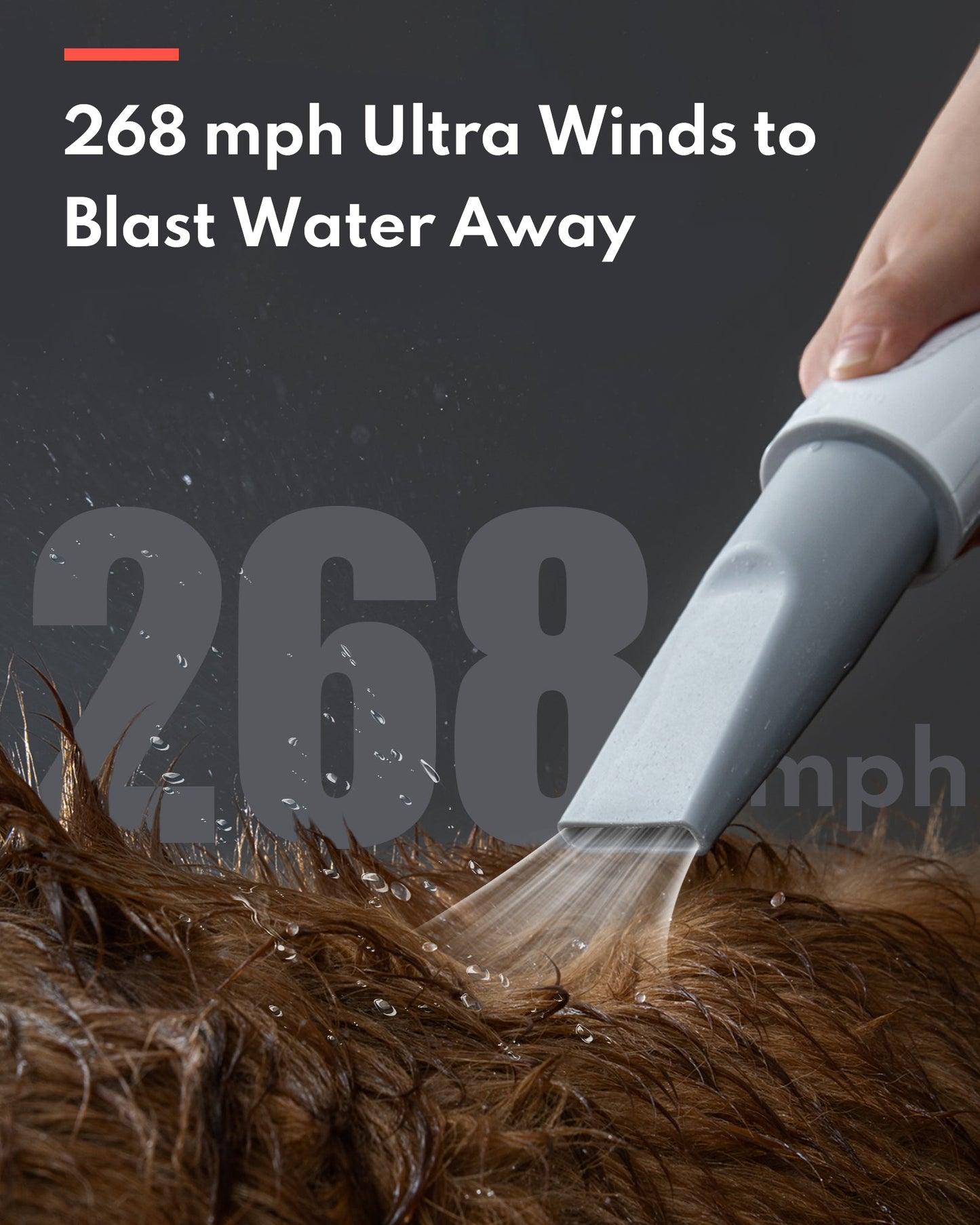 HomerunPET Pet Hair Force Dryer PD10