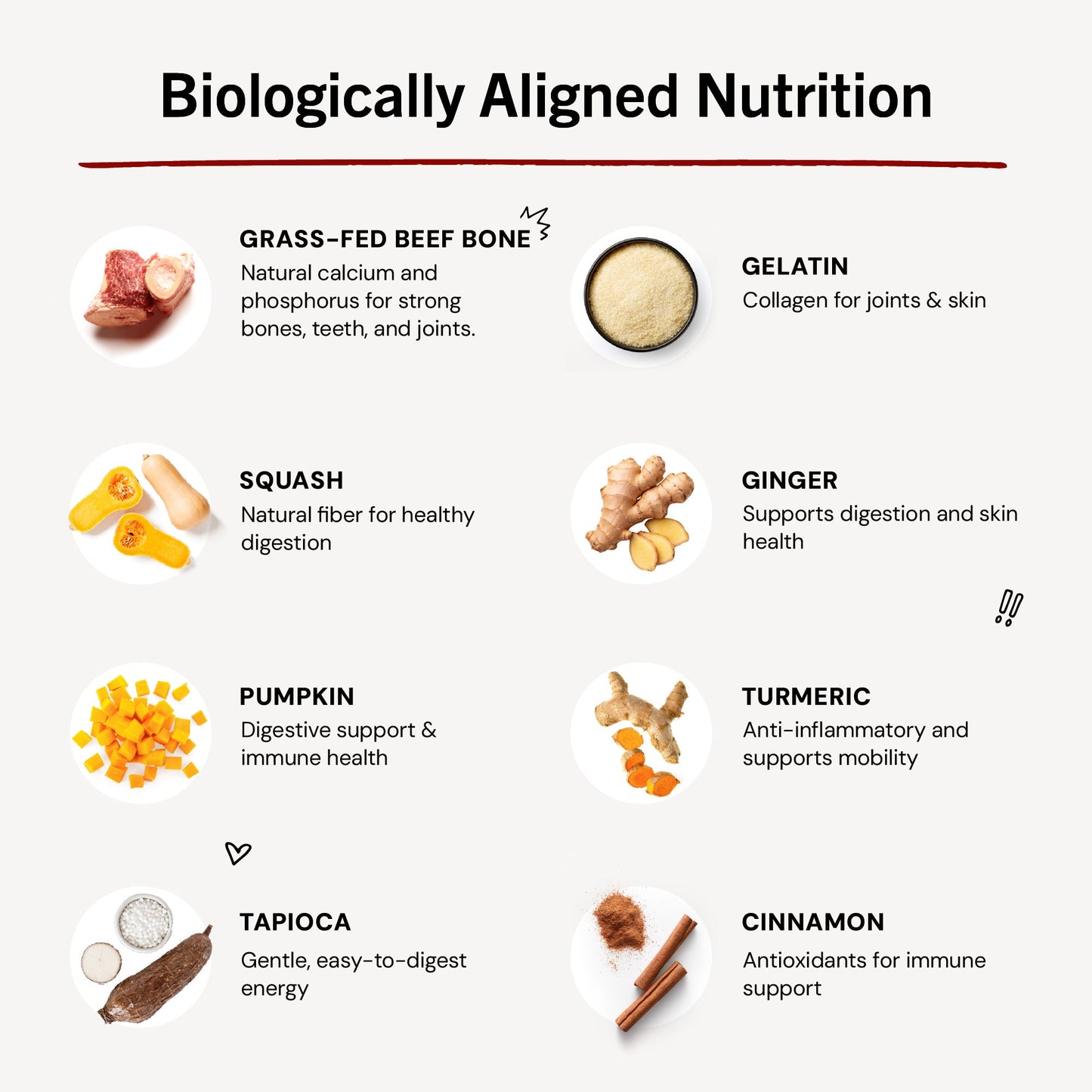 Bountiful Bone Broth Grass-Fed Beef Recipe