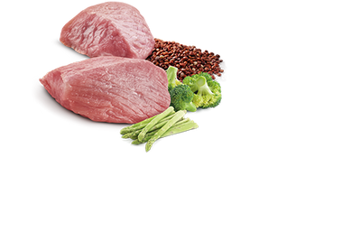 Farmina Quinoa Weight Management Lamb Canned Cat Food