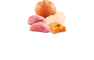 Farmina N&D Pumpkin Wild Boar, Pumpkin & Apple Canned Dog Food