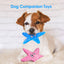 Interactive Starfish Dog Toy Set - Pack of 2