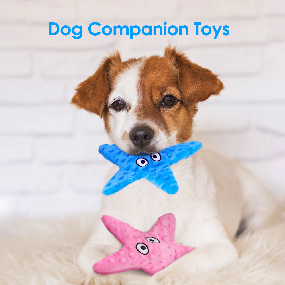 Interactive Starfish Dog Toy Set - Pack of 2