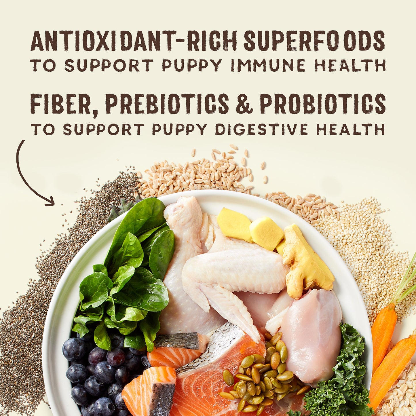 SuperBlends Raw Blend Puppy Kibble: Chicken, Salmon + Superfoods