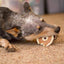 Barn Bagel® Peanut Butter Flavor