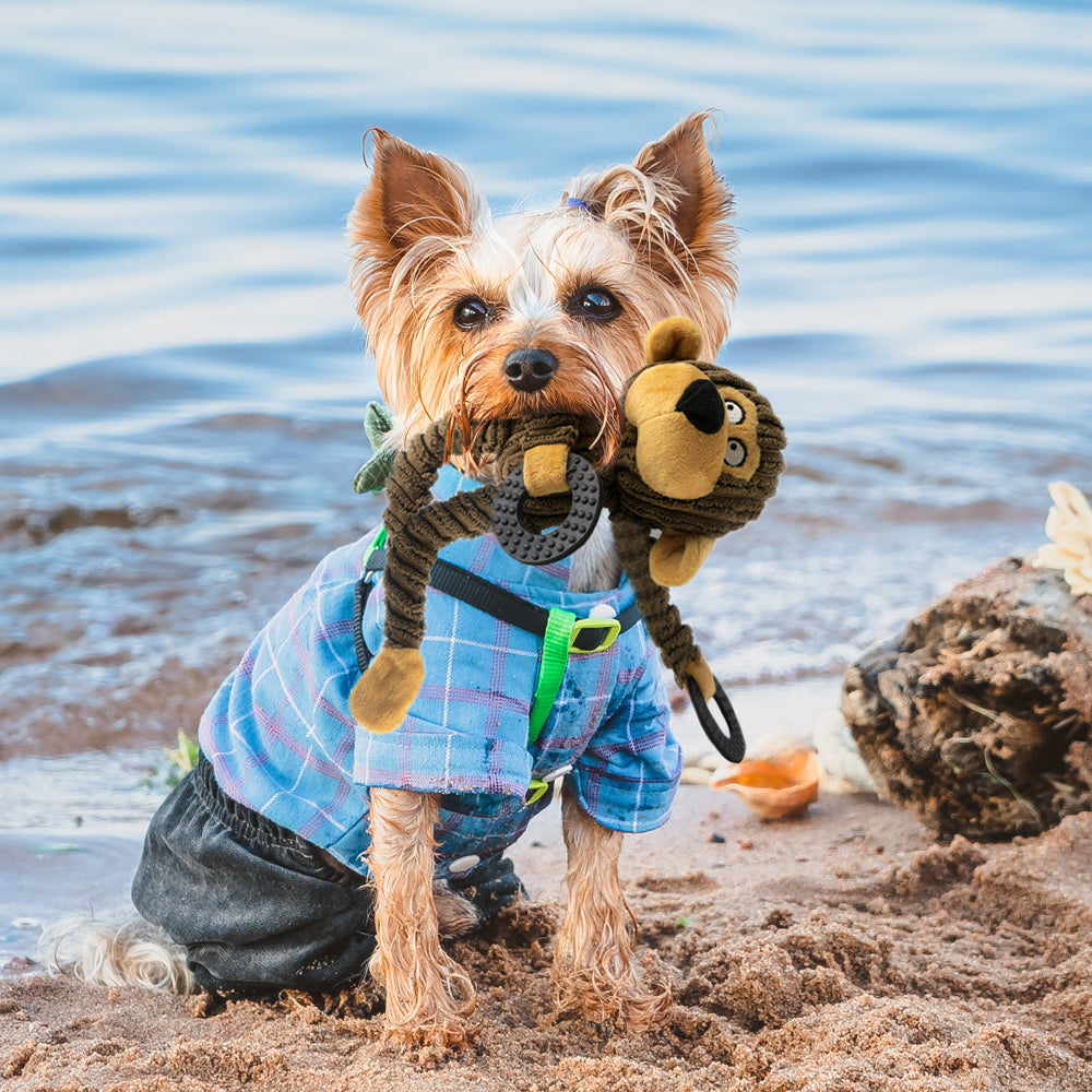 Squeaky Plush Dog Toy - Rubber Ring Bull Design for Interactive Fun