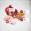 Farmina N&D Ancestral Grain Chicken & Pomegranate Medium & Maxi Senior Dry Dog Food