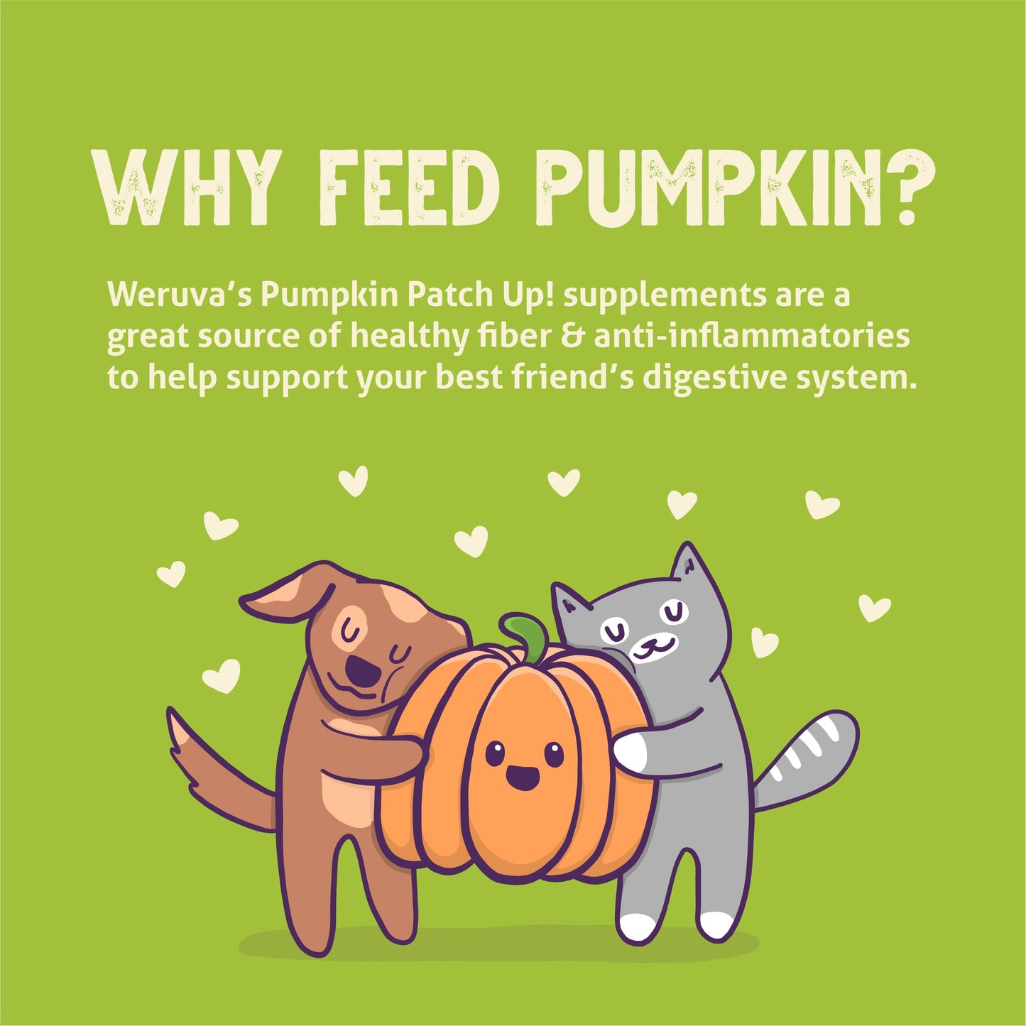 Pumpkin with Ginger & Turmeric