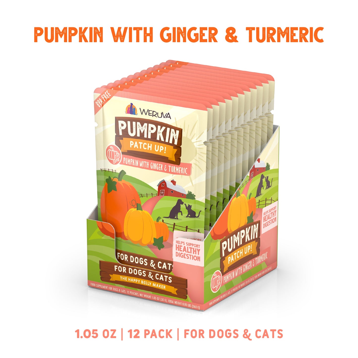Pumpkin with Ginger & Turmeric