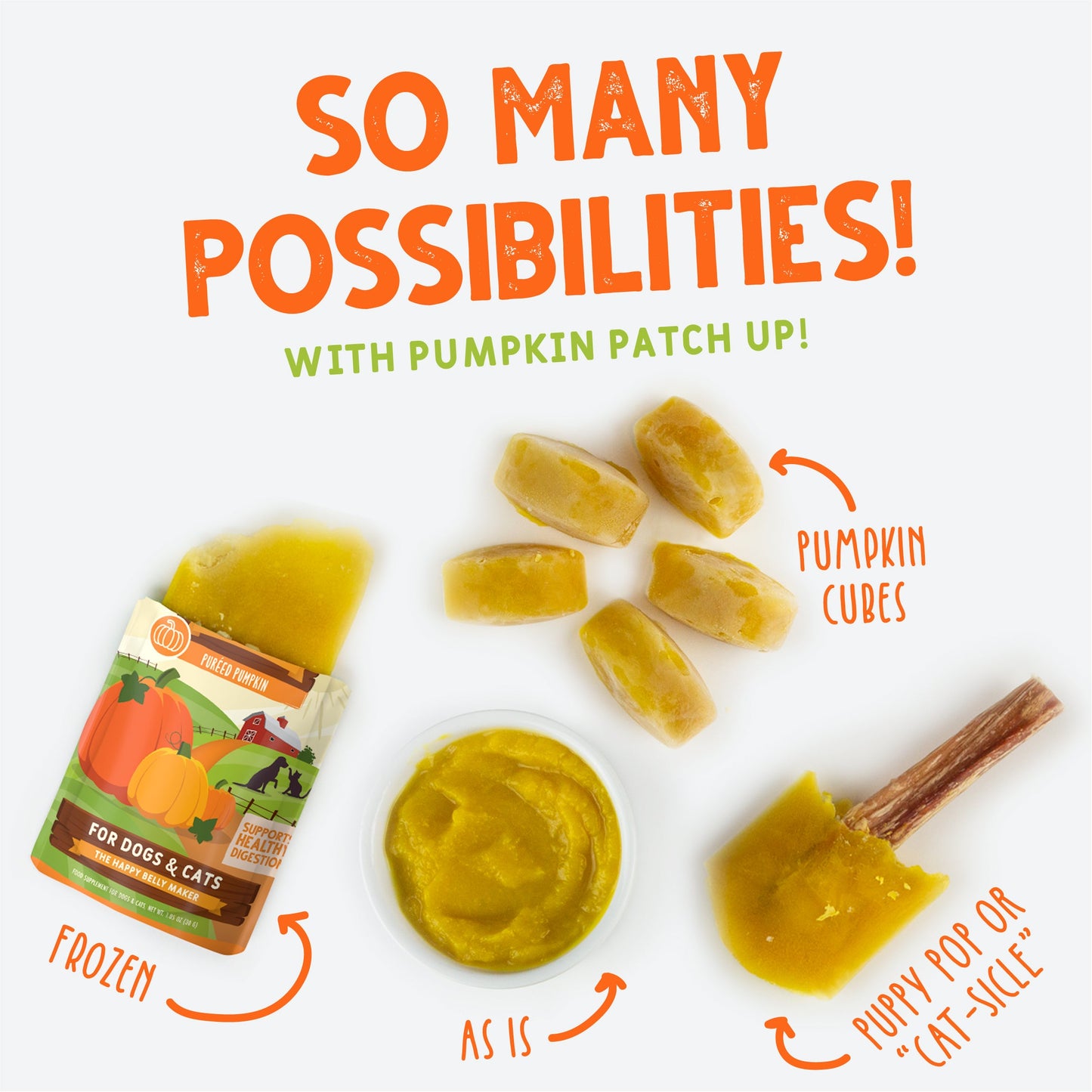 Pumpkin with Ginger & Turmeric