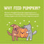 Pumpkin Pumpkin, What's Your Function?!