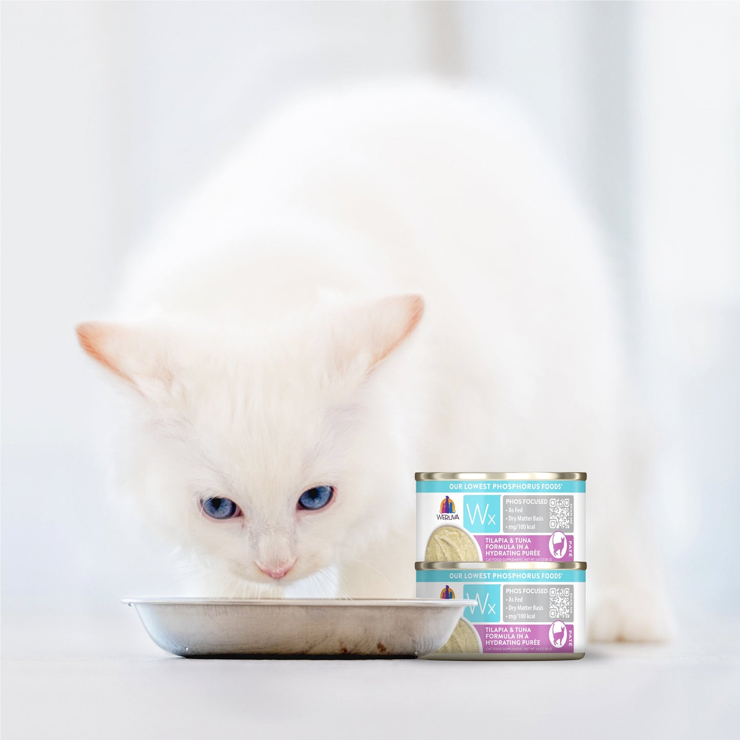 Tilapia & Tuna Formula in a Hydrating Purée
