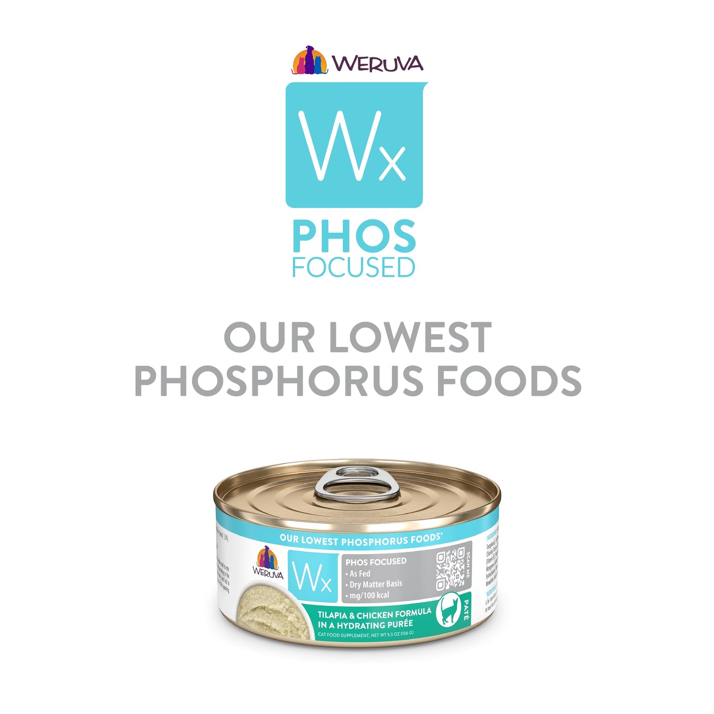 Tilapia & Chicken Formula in a Hydrating Purée