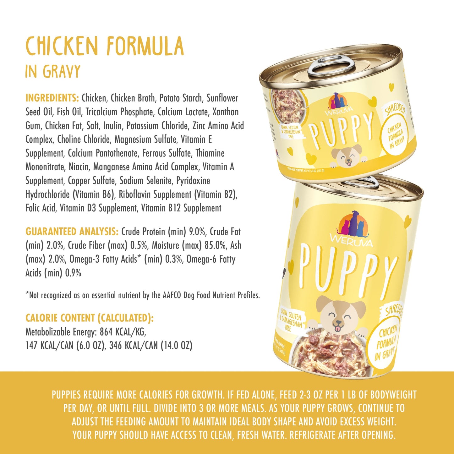 Chicken Formula in Gravy