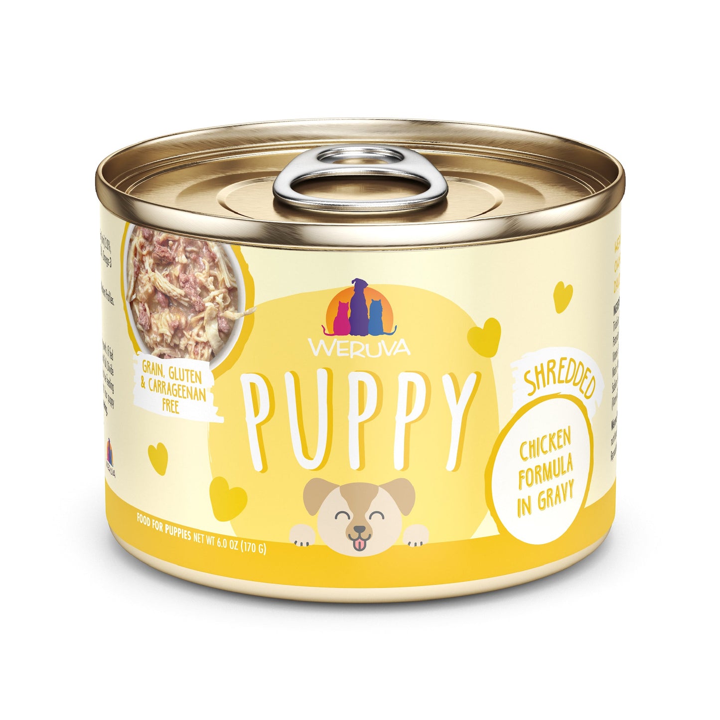 Chicken Formula in Gravy