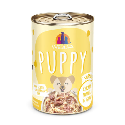 Chicken Formula in Gravy