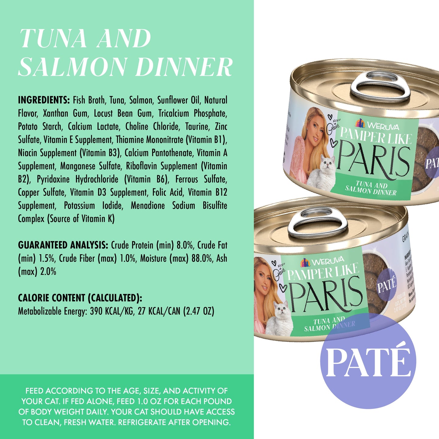Tuna and Salmon Dinner in a Hydrating Purée