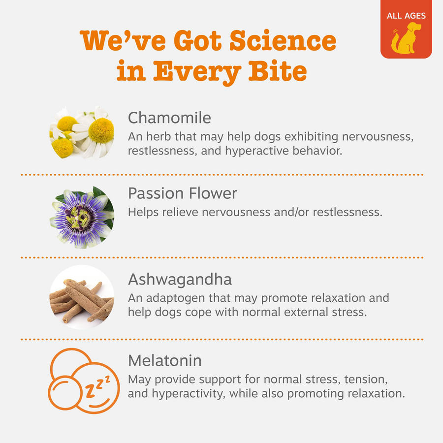 Lil' Zesties™ Calming Squares™ for Dogs