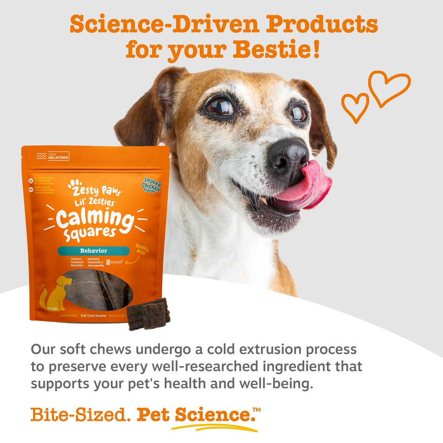 Lil' Zesties™ Calming Squares™ for Dogs