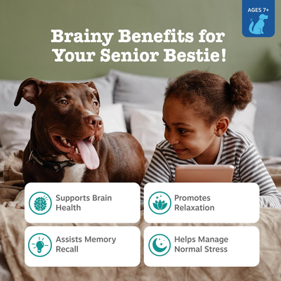 Senior Advanced Calming & Cognition Bites™ for Dogs