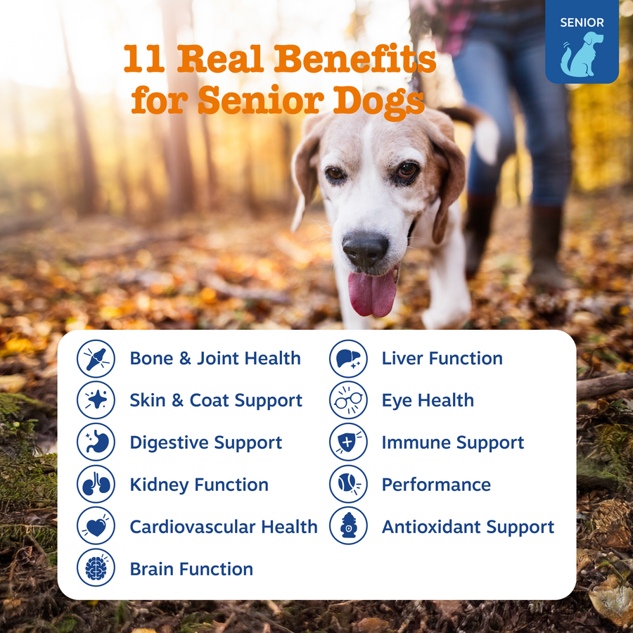 Senior Advanced 11-in-1 Multivitamin Bites for Senior Dogs
