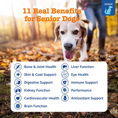 Senior Advanced 11-in-1 Multivitamin Bites for Senior Dogs