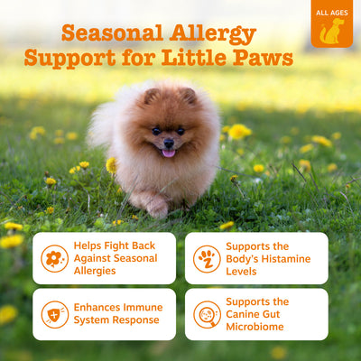 Allergy & Immune Mini Bites for Small Dogs