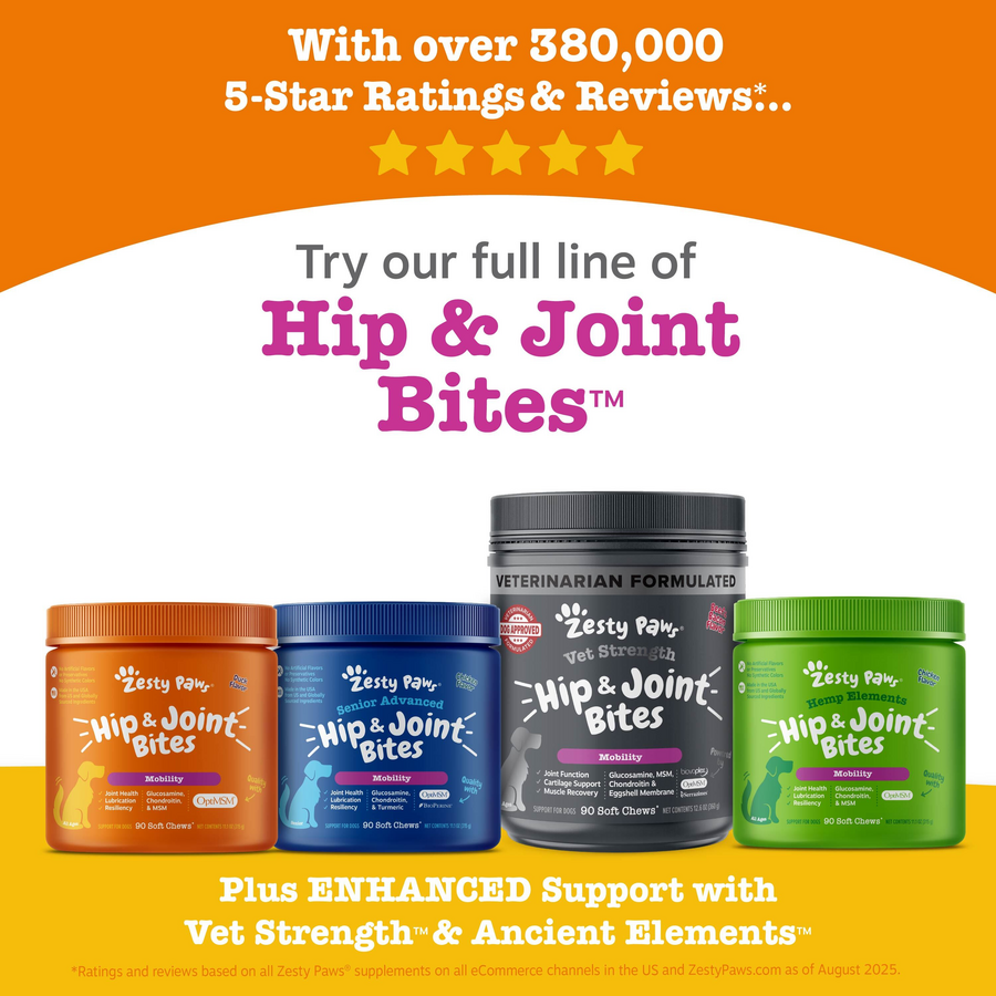 Vet Strength Hip & Joint Bites for Dogs